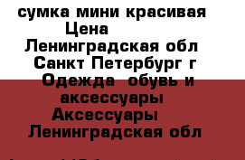 сумка мини красивая › Цена ­ 4 000 - Ленинградская обл., Санкт-Петербург г. Одежда, обувь и аксессуары » Аксессуары   . Ленинградская обл.